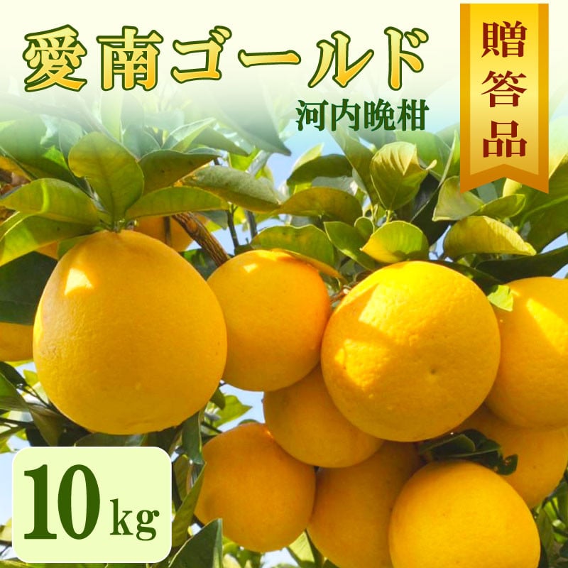 贈答用 愛南ゴールド（河内晩柑）約10kg みかん 蜜柑 河内晩柑 グレープフルーツ ギフト 贈答品 お祝い プレゼント 果実 ジュース ゼリー 正品 人気 果汁 さわやか 甘い 夏 デザート 柑橘 果物 フルーツ 前田ファーム 愛媛 愛南 【発送期間 3月下旬～5月上旬 】(なくなり次第終了)
