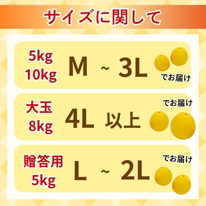 贈答用 愛南ゴールド（河内晩柑）約10kg みかん 蜜柑 河内晩柑 グレープフルーツ ギフト 贈答品 お祝い プレゼント 果実 ジュース ゼリー 正品 人気 果汁 さわやか 甘い 夏 デザート 柑橘 果物 フルーツ 前田ファーム 愛媛 愛南 【発送期間 3月下旬～5月上旬 】(なくなり次第終了)