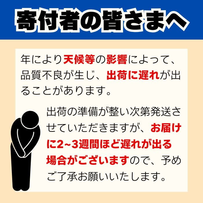 家庭用 先行予約 2026年発送 愛南ゴールド（河内晩柑）約10kg みかん 蜜柑 河内晩柑 グレープフルーツ 柑橘 果物 フルーツ 前田ファーム 愛媛 愛南【発送期間 3月下旬～5月上旬 】(なくなり次第終了)