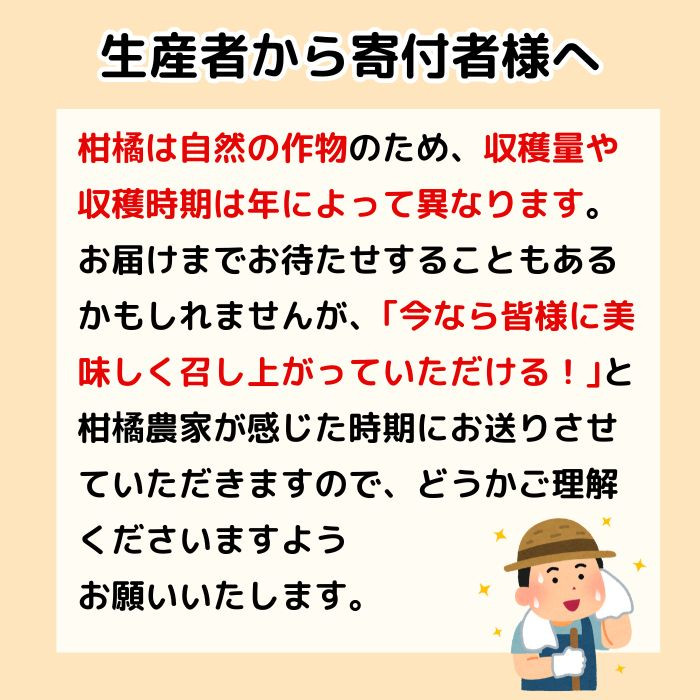 家庭用 先行予約 2026年発送 愛南ゴールド（河内晩柑）約10kg みかん 蜜柑 河内晩柑 グレープフルーツ 柑橘 果物 フルーツ 前田ファーム 愛媛 愛南【発送期間 3月下旬～5月上旬 】(なくなり次第終了)