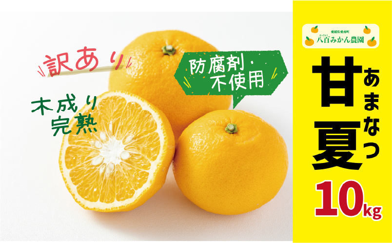 å
è¡äºçŽ èš³ãã å®ççå€ 10kg 10000å ã¿ãã mikan èæ ãããã ããŸãªã€ å€ã¿ãã ã°ã¬ãŒããã«ãŒã ã ãã ã å®¶åºçš äºå äºçŽ åä» ç£å°çŽé åœç£ 蟲家çŽé ç³åºŠ æééå® æ°ééå® ç¹ç£å ãŒãªãŒ ããŒãã¬ãŒã ããŒã« ãžã¥ãŒã¹ ãã¶ãŒã äººæ° éå® ãããã æå® æè ãã«ãŒã æç© ææ© çŸå³ãã ãµã€ãº ããã¯ã¹ é²è
å€äžäœ¿çš å
«çŸã¿ããèŸ²å æåçº æåªç