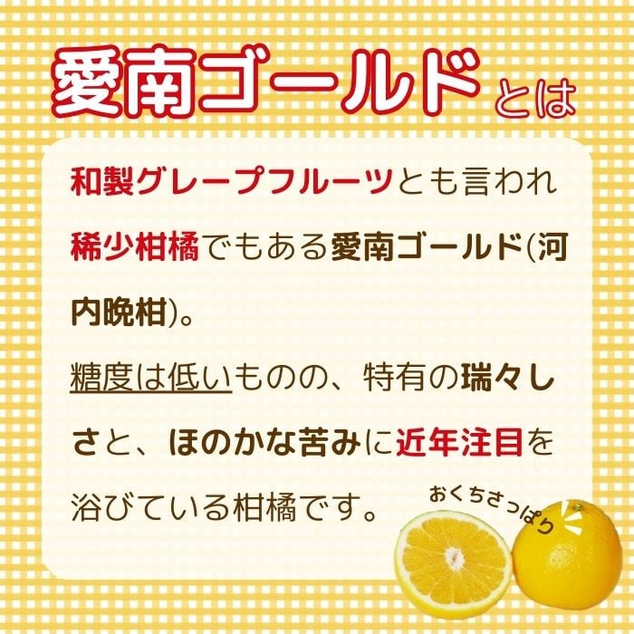 贈答用 愛南ゴールド（河内晩柑） 7kg 10000円 柑橘  みかん mikan 蜜柑 ミカン 愛南ゴールド 国産 特産品 ギフト プレゼント お中元 果物 柑橘 おいしい 甘い 前田ファーム 愛南町 愛媛