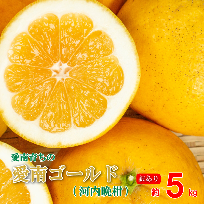 訳あり 愛南ゴールド ( 河内晩柑 ) 5kg みかん 蜜柑 河内晩柑 和製 グレープフルーツ 傷 不揃い 規格外 常温 愛媛県 愛南町青果市場 発送: 4月上旬～なくなり次第終了