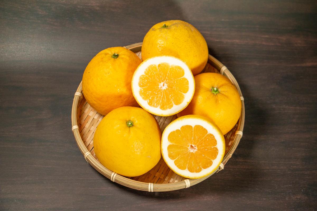 訳あり 愛南ゴールド ( 河内晩柑 ) 5kg みかん 蜜柑 河内晩柑 和製 グレープフルーツ 傷 不揃い 規格外 常温 愛媛県 愛南町青果市場 発送: 4月上旬～なくなり次第終了