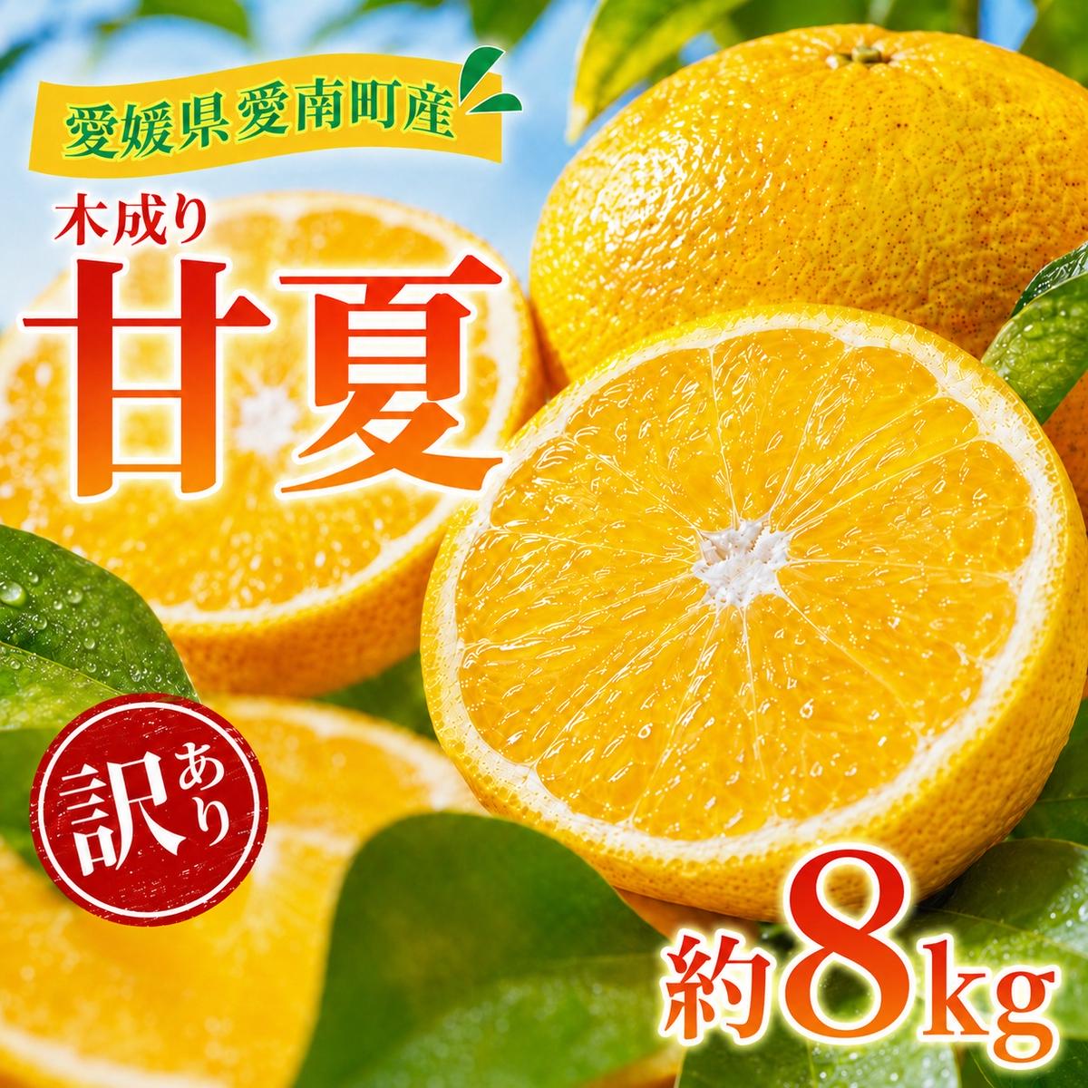 訳あり 甘夏 8kg +傷み補償分1割程度増量 柑橘 かんきつ 蜜柑 愛媛 みかん 温州 みかん あまなつ 国産 こくさん mikan 果物 くだもの フルーツ デザート ジュース 果実 果肉 果汁 甘い ジューシー おいしい 濃厚 産地 直送 産直 特産品 愛媛県 愛南町 愛南町青果市場