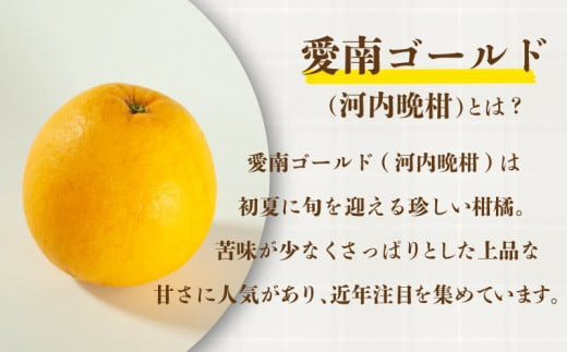 【ふるさと納税】 先行予約 訳あり  愛南ゴールド 約8kg  Mサイズ以上 河内晩柑 柑橘 フルーツ 果物 蜜柑 みかん くだもの 家庭用 傷 不揃い  サイズミックス かわち ばんかん 和製 グレープフルーツ デザート甘い ジューシー 特産品 国産 農園 直送 愛媛県 愛南町 和家農園