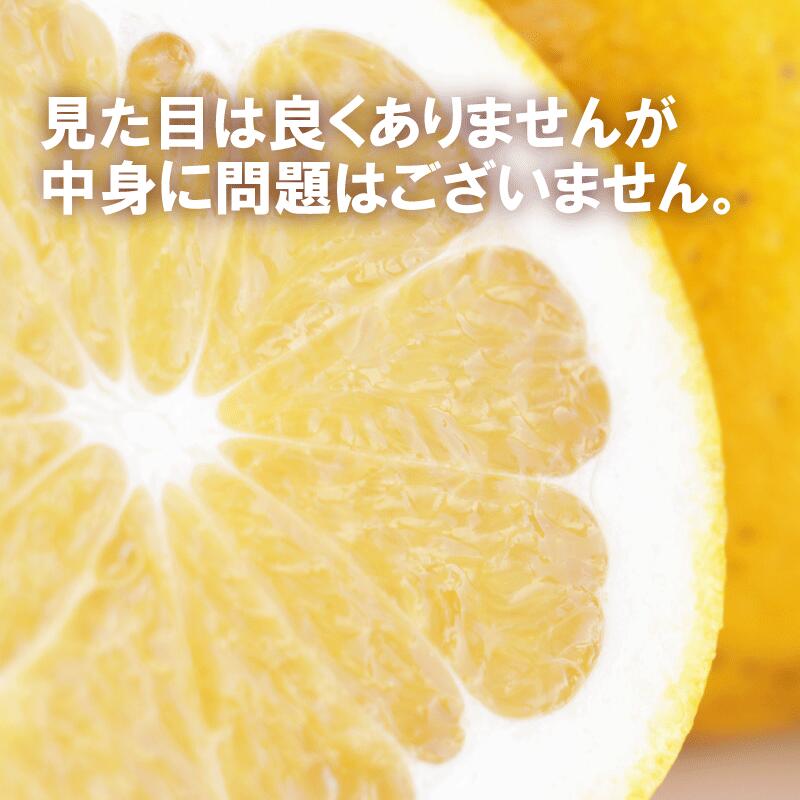 訳あり 河内晩柑 7.5kg サイズミックス 7000円 みかん かわちばんかん ミカン mikan わけあり 愛南ゴールド 家庭用 あいなん ゴールド 美生柑 文旦 派生 和製 グレープフルーツ 産地直送 国産 農家直送 期間限定 数量限定 特産品 人気 限定 甘い おいしい 小玉 含む フルーツ 果物 柑橘 蜜柑 アイス ジュース 等に 規格外 大樹農園 愛南町 愛媛県