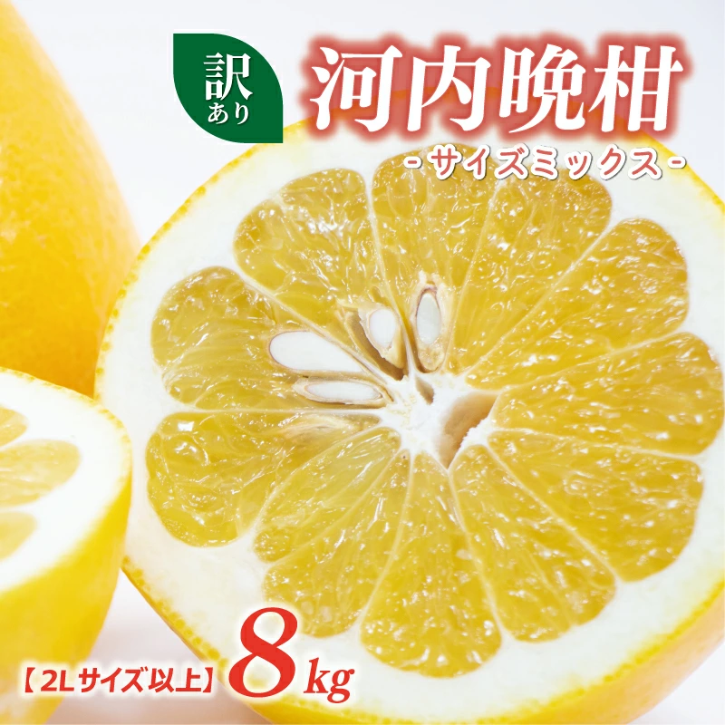 訳あり 河内晩柑 2L サイズ 以上 8kg サイズミックス 7000円 みかん かわちばんかん ミカン mikan わけあり 愛南ゴールド 家庭用 あいなん ゴールド 美生柑 文旦 派生 和製 グレープフルーツ 産地直送 国産 農家直送 期間限定 数量限定 特産品 人気 限定 甘い おいしい フルーツ 果物 柑橘 蜜柑 アイス ジュース 等に 規格外 大樹農園 愛南町 愛媛県