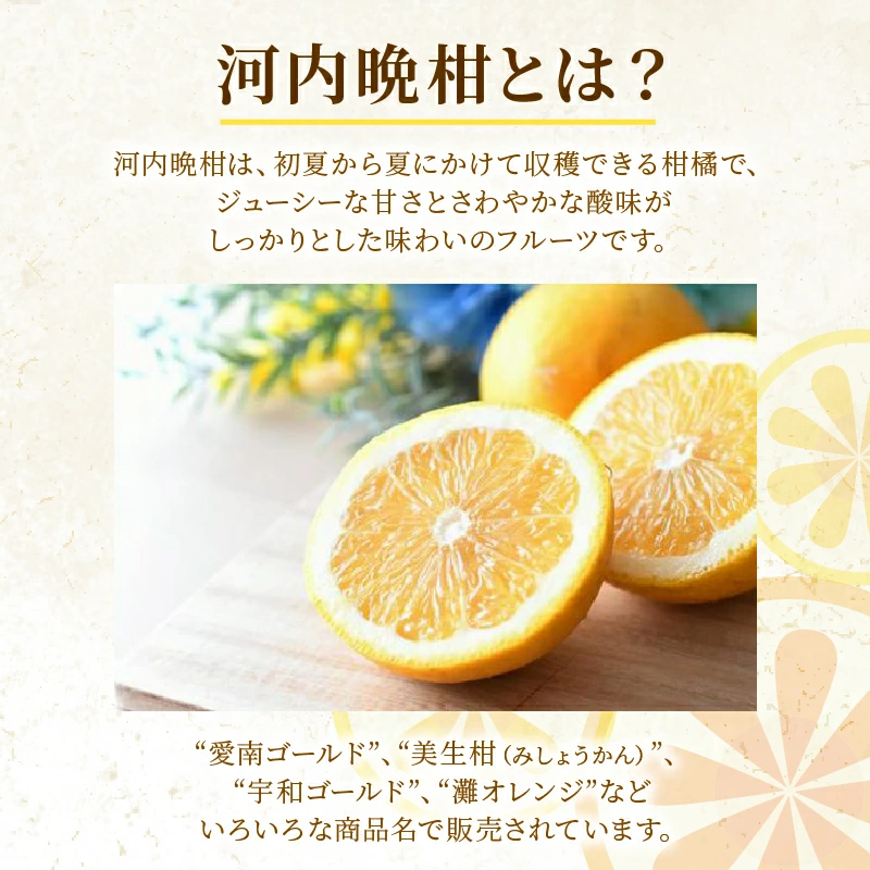 訳あり 河内晩柑 2L サイズ 以上 8kg サイズミックス 7000円 みかん かわちばんかん ミカン mikan わけあり 愛南ゴールド 家庭用 あいなん ゴールド 美生柑 文旦 派生 和製 グレープフルーツ 産地直送 国産 農家直送 期間限定 数量限定 特産品 人気 限定 甘い おいしい フルーツ 果物 柑橘 蜜柑 アイス ジュース 等に 規格外 大樹農園 愛南町 愛媛県