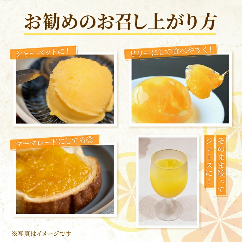 訳あり 河内晩柑 2L サイズ 以上 8kg サイズミックス 7000円 みかん かわちばんかん ミカン mikan わけあり 愛南ゴールド 家庭用 あいなん ゴールド 美生柑 文旦 派生 和製 グレープフルーツ 産地直送 国産 農家直送 期間限定 数量限定 特産品 人気 限定 甘い おいしい フルーツ 果物 柑橘 蜜柑 アイス ジュース 等に 規格外 大樹農園 愛南町 愛媛県