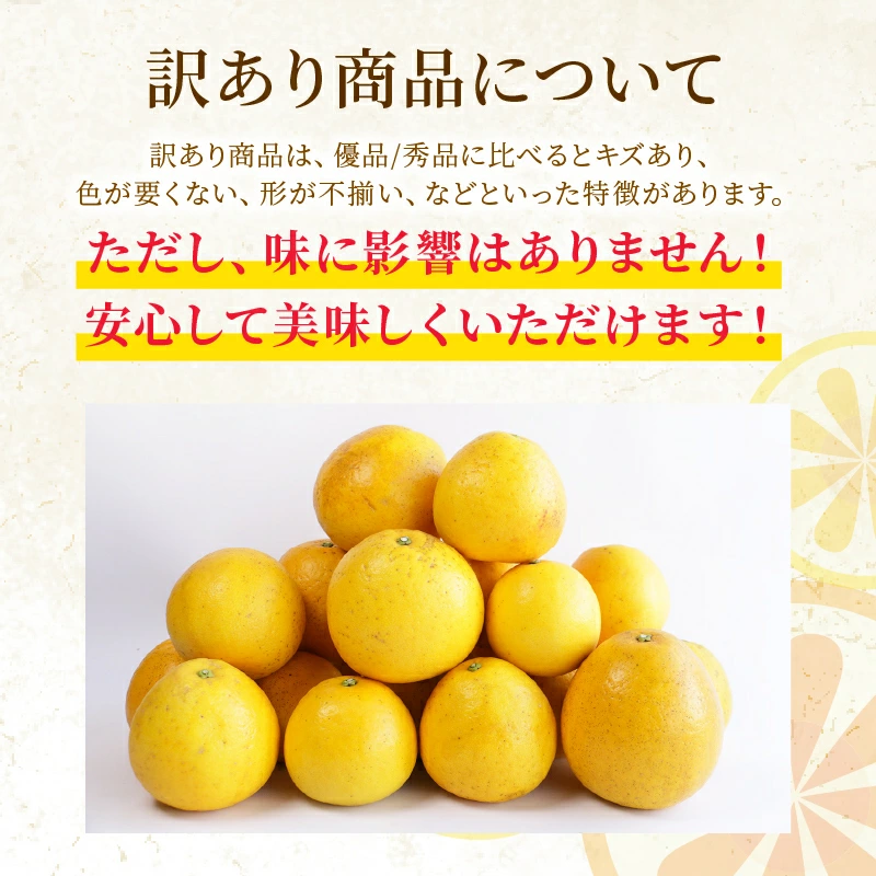 訳あり 河内晩柑 2L サイズ 以上 8kg サイズミックス 7000円 みかん かわちばんかん ミカン mikan わけあり 愛南ゴールド 家庭用 あいなん ゴールド 美生柑 文旦 派生 和製 グレープフルーツ 産地直送 国産 農家直送 期間限定 数量限定 特産品 人気 限定 甘い おいしい フルーツ 果物 柑橘 蜜柑 アイス ジュース 等に 規格外 大樹農園 愛南町 愛媛県