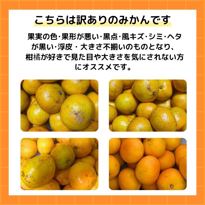 【先行予約】訳あり 愛媛みかん 小玉 5kg 傷み補償 250g 増量 発送期間 2026年11月上旬以降 みかん 愛媛みかん 温州みかん 南柑20号 柑橘 蜜柑 かんきつ 冬 秋 旬 正月 愛媛 愛媛県 愛南町 お歳暮 プレゼント くだもの 果物 フルーツ スイーツ おやつ お菓子 和菓子 甘い 糖度 オレンジ 冷凍 みかん ジュース 清家ばんかんビレッジ