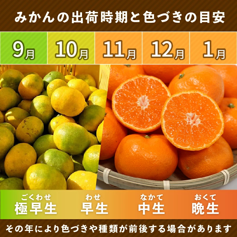 【先行予約】訳あり 愛媛みかん 小玉 10kg 傷み補償 500g 増量 【発送期間 2026年11月上旬～】 みかん 愛媛みかん 温州みかん 南柑20号 柑橘 蜜柑 かんきつ 冬 秋 旬 正月 愛媛 愛媛県 愛南町 お歳暮 プレゼント くだもの 果物 フルーツ スイーツ おやつ お菓子 和菓子 甘い 糖度 オレンジ 冷凍 みかん ジュース 清家ばんかんビレッジ