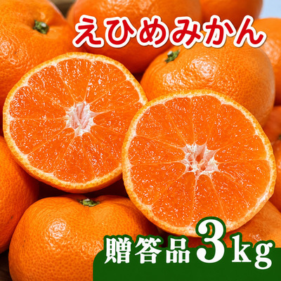 【先行予約】贈答品 愛媛みかん 3kg 傷み補償 250g 増量 発送期間 2026年11月上旬以降 みかん 愛媛みかん 温州みかん 南柑20号 柑橘 蜜柑 かんきつ 冬 秋 旬 正月 愛媛 愛媛県 愛南町 お歳暮 プレゼント くだもの 果物 フルーツ スイーツ おやつ お菓子 和菓子 甘い 糖度 オレンジ 冷凍 みかん ジュース 清家ばんかんビレッジ