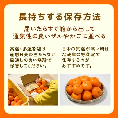 【先行予約】贈答品 愛媛みかん 3kg 傷み補償 250g 増量 発送期間 2026年11月上旬以降 みかん 愛媛みかん 温州みかん 南柑20号 柑橘 蜜柑 かんきつ 冬 秋 旬 正月 愛媛 愛媛県 愛南町 お歳暮 プレゼント くだもの 果物 フルーツ スイーツ おやつ お菓子 和菓子 甘い 糖度 オレンジ 冷凍 みかん ジュース 清家ばんかんビレッジ