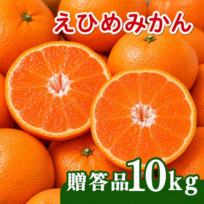 【先行予約】贈答品 愛媛みかん 10kg 傷み補償 500g 増量 発送期間 2026年11月上旬以降 みかん 愛媛みかん 温州みかん 南柑20号 柑橘 蜜柑 かんきつ 冬 秋 旬 正月 愛媛 愛媛県 愛南町 お歳暮 プレゼント くだもの 果物 フルーツ スイーツ おやつ お菓子 和菓子 甘い 糖度 オレンジ 冷凍 みかん ジュース 清家ばんかんビレッジ