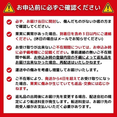 【先行予約】贈答品 愛媛みかん 10kg 傷み補償 500g 増量 発送期間 2026年11月上旬以降 みかん 愛媛みかん 温州みかん 南柑20号 柑橘 蜜柑 かんきつ 冬 秋 旬 正月 愛媛 愛媛県 愛南町 お歳暮 プレゼント くだもの 果物 フルーツ スイーツ おやつ お菓子 和菓子 甘い 糖度 オレンジ 冷凍 みかん ジュース 清家ばんかんビレッジ