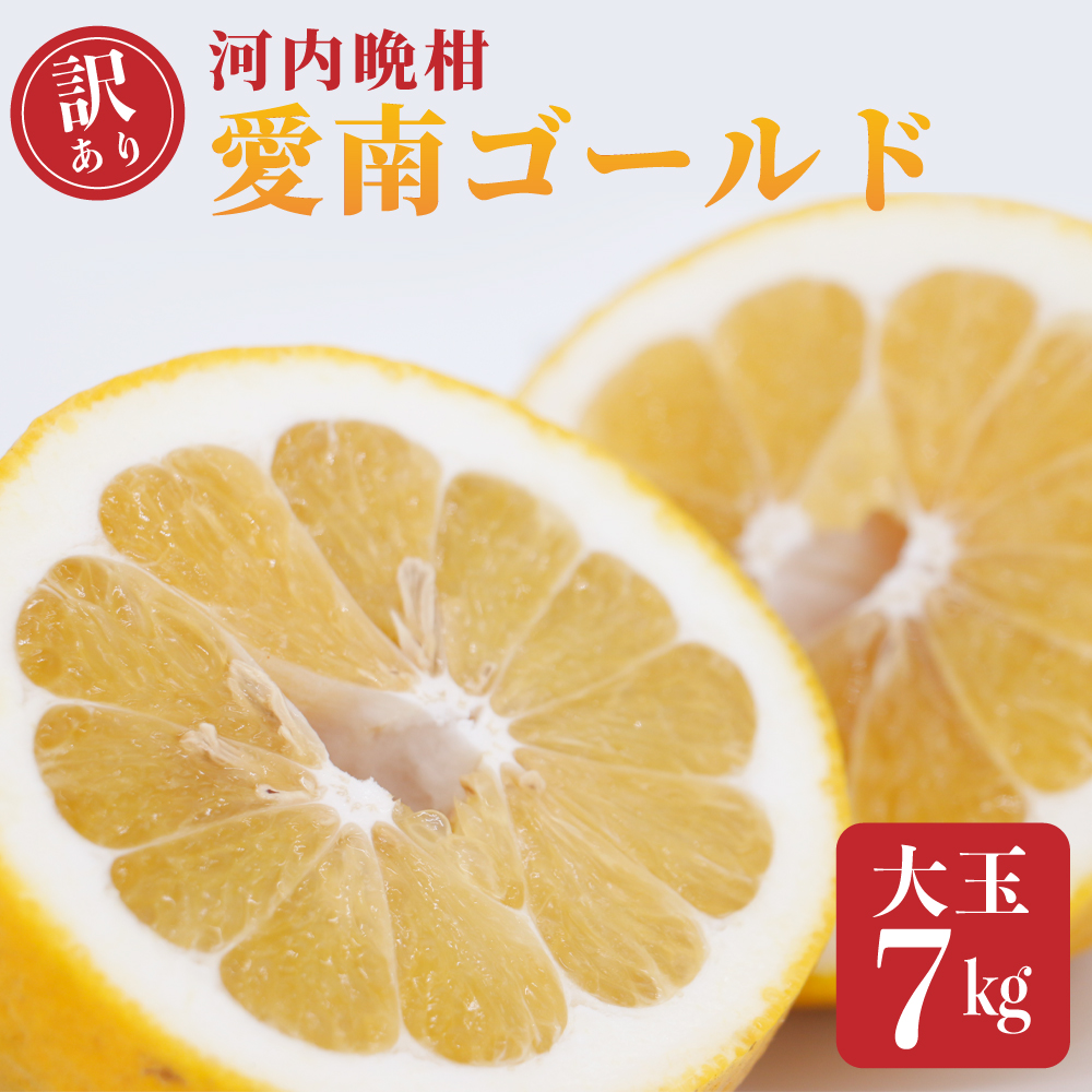 訳あり  愛南ゴールド 大玉 7kg 河内晩柑 柑橘 フルーツ 果物 蜜柑 みかん くだもの 家庭用 傷 不揃い  サイズミックス かわち ばんかん 和製 グレープフルーツ デザート甘い ジューシー 特産品 国産 農園 直送 愛媛県 愛南町 和家農園