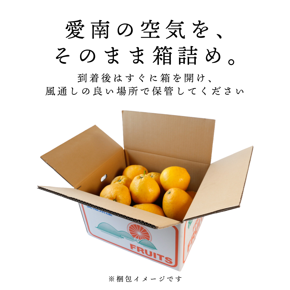 訳あり  愛南ゴールド 大玉 7kg 河内晩柑 柑橘 フルーツ 果物 蜜柑 みかん くだもの 家庭用 傷 不揃い  サイズミックス かわち ばんかん 和製 グレープフルーツ デザート甘い ジューシー 特産品 国産 農園 直送 愛媛県 愛南町 和家農園