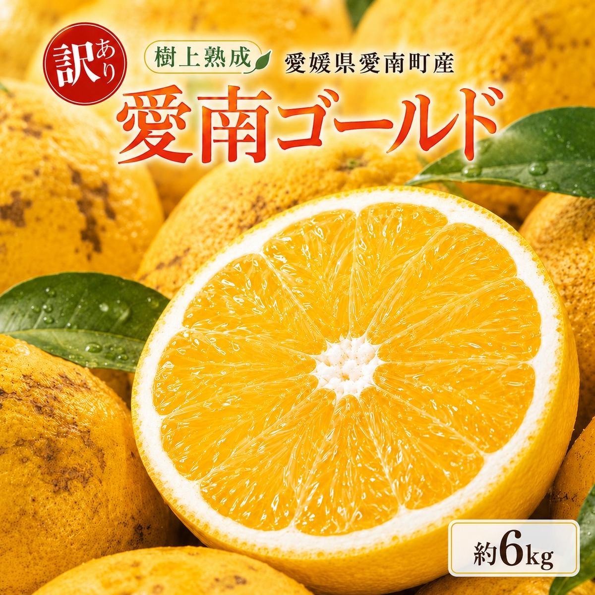 木成り 追熟 訳あり 愛南ゴールド 約6kg 河内晩柑 柑橘 フルーツ 果物 蜜柑 みかん くだもの mikan 家庭用 傷 不揃い 樹上 熟成 サイズミックス かわち ばんかん かんきつ 和製 グレープフルーツ デザート 果実 果汁 甘い ジューシー おいしい 特産品 国産 農園 直送 産地 直送 資格 大学 イノベーター エニシトラス 愛媛県 愛南町 