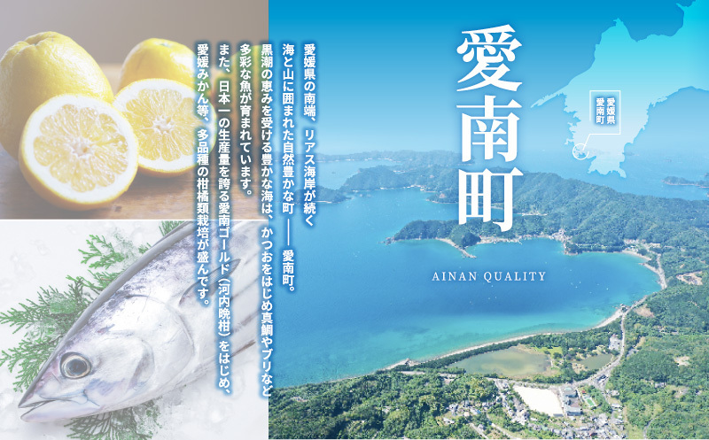 かつお レア ステーキ 1kg カツオ 冷凍 個包装 海鮮 魚 鰹 刺身 新鮮 かつお 鮮魚 時短 便利 個包装 おつまみ おかず 惣菜 晩ごはん 加工品 カツオ 鰹 魚 焼くだけ バジル カツオ 高知 にも負けない ハマスイ 愛媛県 愛南町