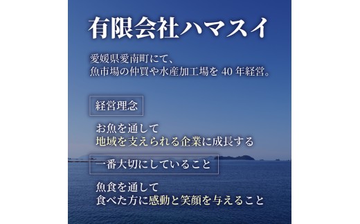 かつお レア ステーキ 1.3kg カツオ 冷凍 個包装 海鮮 魚 鰹 刺身 新鮮 かつお 鮮魚 時短 便利 個包装 おつまみ おかず 惣菜 晩ごはん 加工品 カツオ 鰹 魚 焼くだけ バジル カツオ 高知 にも負けない ハマスイ 愛媛県 愛南町
