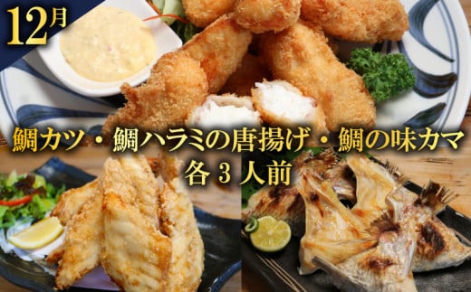 定期便 全6回 愛南の魚料理 クエ鍋セット タマクエ 鯛 タイ お造り 刺身 さしみ シマアジ フィーレ フィレ  鯛めし 丼 醤油 漬け カツ フライ ハラミ 唐揚げ カマ 焼き グリル 海鮮 魚介 海の幸 ギフト プレゼント 贈り物 愛南サン・フィッシュ