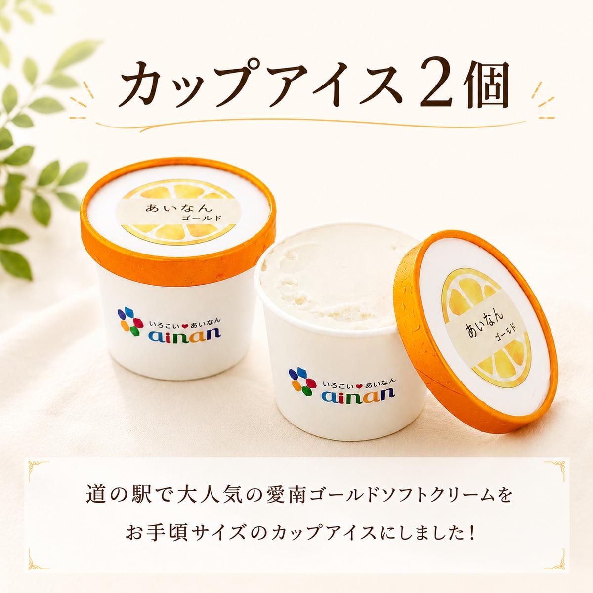 道の駅の「アイスセット」 愛南ゴールド アイス 小パック 2個 ソルベ 3個 河内晩柑 アイスクリーム ジェラート みかん 冷凍 暑い 夏 湯上がり プール 愛南総研 道の駅MIC 愛媛県 愛南町