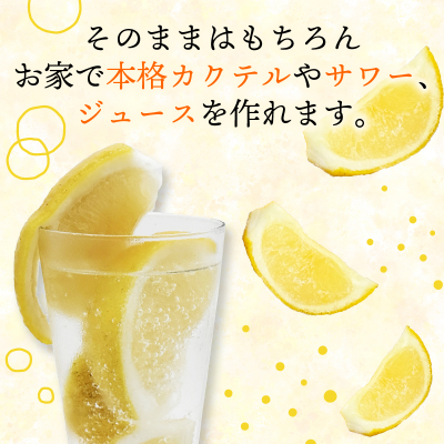 冷凍 河内晩柑  皮付き 500g×2袋 小分け 愛南ゴールド 和製グレープフルーツ おやつ 柑橘 かんきつ 冷凍 冷凍柑橘 冷凍みかん 夏 アイス サワー カクテル スムージー シャーベット みかん職人武田屋 愛媛県 愛南町