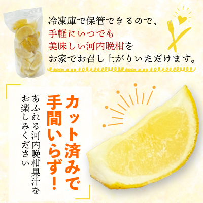 冷凍 河内晩柑  皮付き 500g×2袋 小分け 愛南ゴールド 和製グレープフルーツ おやつ 柑橘 かんきつ 冷凍 冷凍柑橘 冷凍みかん 夏 アイス サワー カクテル スムージー シャーベット みかん職人武田屋 愛媛県 愛南町