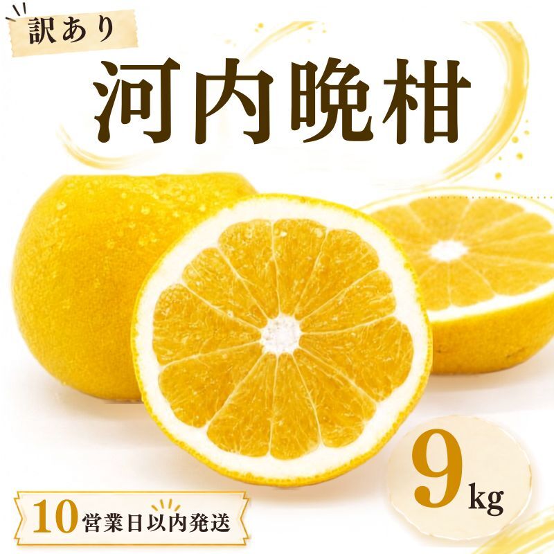 【10営業日以内発送】訳あり 河内晩柑 ばんかん 約 9kg 不揃い 大小ミックス 傷あり 柑橘 かんきつ フルーツ 果物 くだもの すぐ届く 早い 甘い さっぱり 厳選 愛媛 みかん 蜜柑 Mikan 愛南 ご当地 ブランド 野菜 サラダ ピール ゼリー お菓子 デザート マルエム直販 (なくなり次第終了) 愛媛県 愛南町