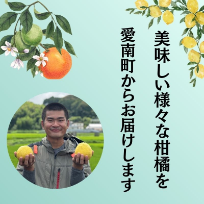 【先行予約：2026年11月中旬～発送】訳あり愛媛みかん 5kg +傷み保証250g 数量限定 温州みかん みかん ミカン 蜜柑 柑橘 不揃い サイズミックス 規格外 愛媛県 愛南町 愛南町青果市場組合