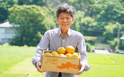 【訳あり】みかんの山祥が贈る　樹齢25年以上の河内晩柑　中玉6kg L～2L （サイズミックス） 発送期間: 4月10日～8月10日 (なくなり次第終了)