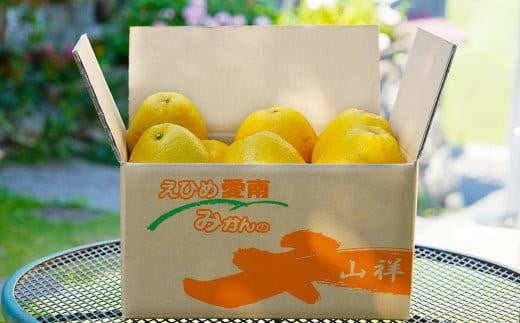 数量限定 先行予約 河内晩柑 樹齢 25年以上 中玉 6kg （ L ・ 2Lサイズ ） 8000円 みかん mikan 蜜柑 ミカン かわちばんかん 愛南ゴールド あいなん ゴールド 文旦 派生 和製 グレープフルーツ 産地直送 国産 農家直送 期間限定 特産品 ゼリー ジュース アイス 等に 人気 限定 甘い さわやか フルーツ 果物 柑橘 蜜柑 みかんの山祥 愛南町 愛媛県
