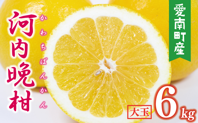 数量限定 先行予約 河内晩柑 樹齢 25年以上 大玉 6kg （ 2Lサイズ 以上 ） 8000円 みかん mikan 蜜柑 ミカン かわちばんかん 愛南ゴールド あいなん ゴールド 文旦 派生 和製 グレープフルーツ 産地直送 国産 農家直送 期間限定 特産品 ゼリー ジュース アイス 等に 人気 限定 甘い さわやか フルーツ 果物 柑橘 蜜柑 みかんの山祥 愛南町 愛媛県