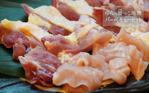 ããã®åªã£ãå°é¶ïŒ¢ïŒ¢ïŒ±ã»ããïŒçŽ1.5kgïŒ