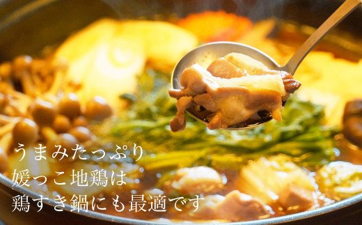 ããã®åªã£ãå°é¶ïŒ¢ïŒ¢ïŒ±ã»ããïŒçŽ1.5kgïŒ