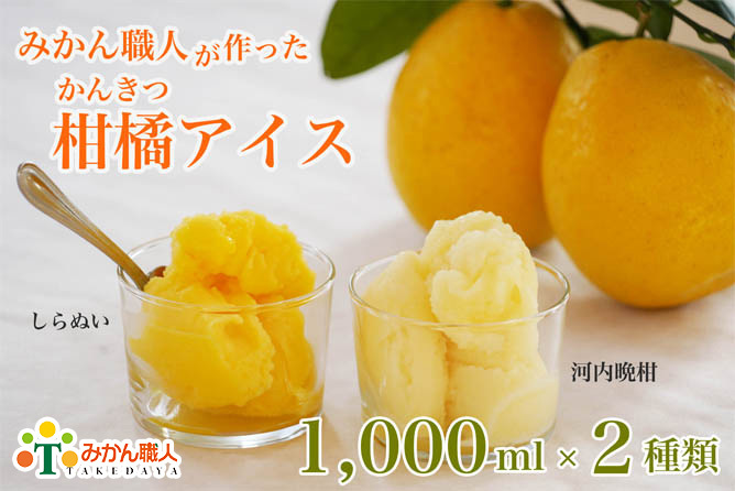 みかん職人が作った柑橘アイス1000ml×2種（河内晩柑・しらぬい）