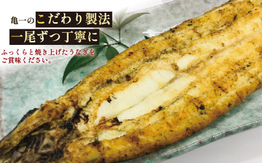 老舗亀一の手焼きうなぎ白焼（約120g×2本）