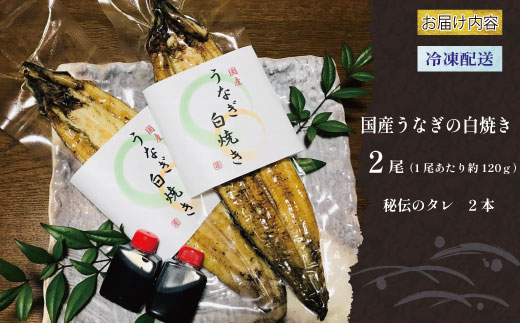 国産 うなぎ 手焼き 白焼き 2本 ( 1本 約120g / 合計 約240g ) 鰻 白焼 秘伝の タレ 山椒 付き セット うな重 ひつまぶし うな丼 わさび ギフト 贈答 贈り物 お中元 お歳暮 父の日 土用の丑の日 冷凍 老舗 お食事処 亀一 愛媛県 愛南町 高級 海鮮 魚介