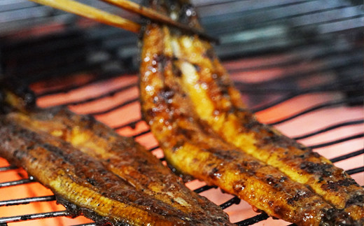 閠∬嶺コ荳縺ョ謇狗┥縺阪≧縺ェ縺手調辟シシ育エ120gテ1譛ャシ