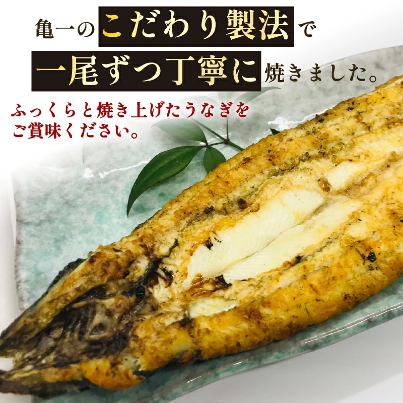 国産うなぎ 手焼き 白焼き (1本/約120g) 秘伝の タレ ・ 山椒 付き 9000円 鰻 ウナギ 魚介 海鮮 ひつまぶし 冷凍 ギフト 贈り物 父の日 土用の 丑の日 冷凍 昭和49年創業 老舗 お食事処 亀一 愛媛県 愛南町