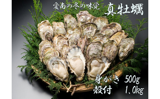 先行予約 愛南かき （ むき身 500g ・ 殻付 1kg ） 10000円 牡蠣 身がき むき身 殻付き かき カキ オイスター 鍋 カキフライ ミルク ソテー クリームシチュー グラタン 牡蠣鍋 蒸し 酒蒸し オイル漬 塩辛 冷蔵 国産 産地直送 期間限定 数量限定 特産品 海鮮 魚介 養殖 人気 限定 愛南町 愛媛県