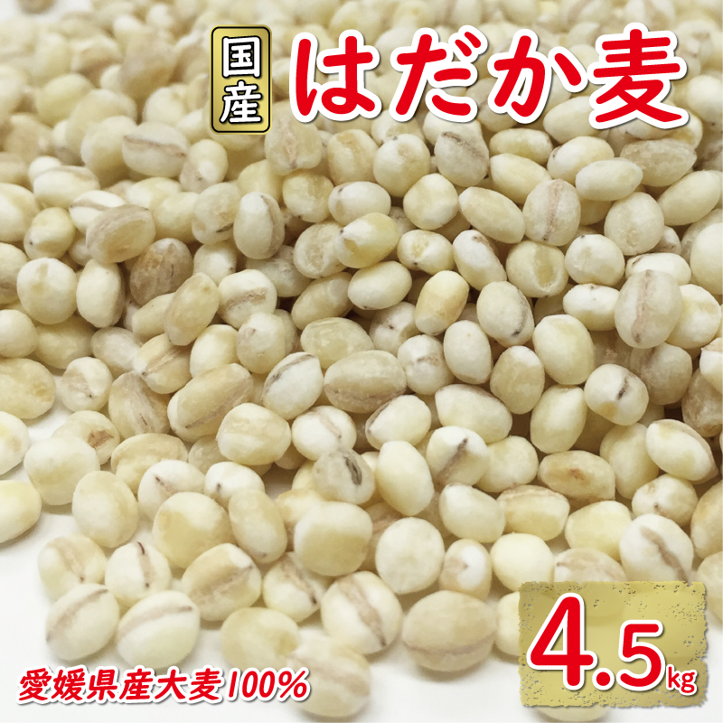 ã¯ã ã麊 900g 5åã»ãã 10000å åœç£ 倧麊 麊 麊ãã¯ã ãããã¯ã æ°Žæº¶æ§ é£ç©ç¹ç¶ è
žå
ç°å¢ ãã€ãšãã å¥åº· ãã«ã€ã¹å³å æåçº æåªç