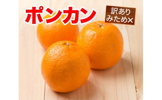 【訳あり】清家ばんかんビレッジのポンカン５kg