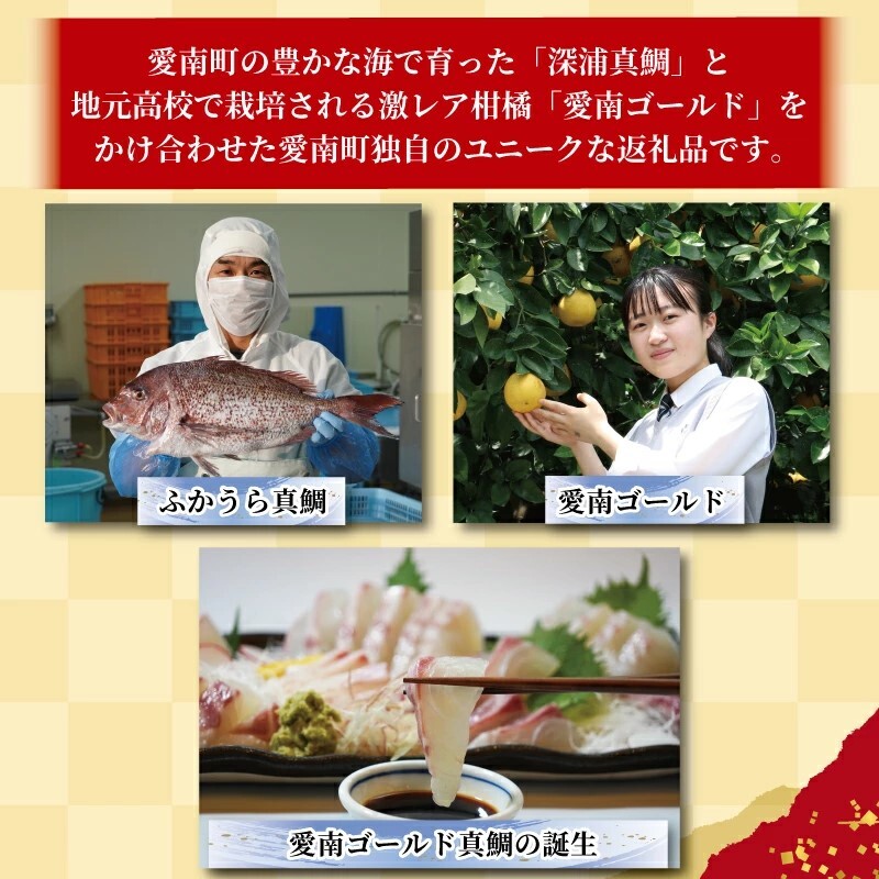 訳あり かつおのたたき 1kg と 愛南ゴールド 真鯛 200g お試し セット 10000円 サイズ 不揃い 規格外 カツオたたき 鰹たたき カツオ タタキ 肉 厚 養殖 タイ みかん 河内晩柑 柑橘 藻塩 刺身 刺し身 さしみ しゃぶしゃぶ 鯛しゃぶ 塩焼 少量 冷凍 旬 お手軽 海鮮 魚介 父の日 傷 小分け 真空 パック 新鮮 鮮魚 天然 鰹 四国一 一本釣 人気 ハマスイ 愛南町 愛媛県