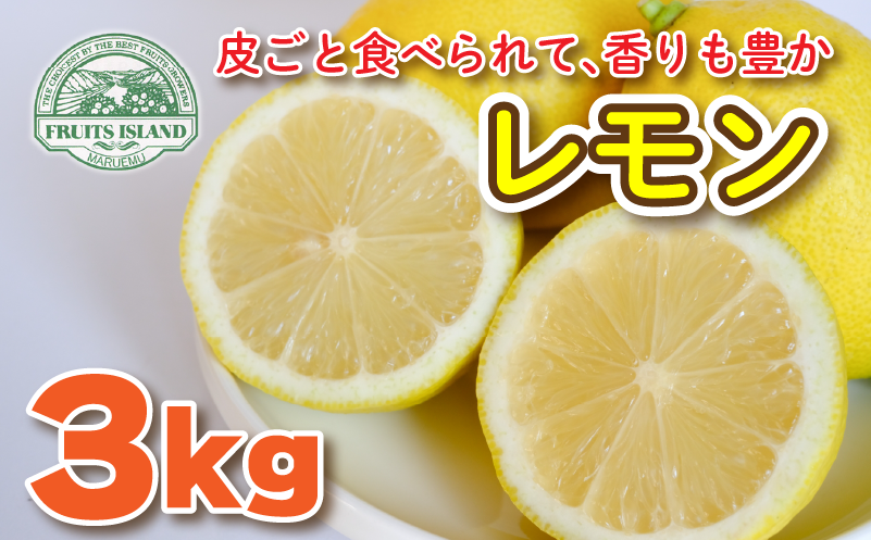 愛媛県産 国産レモン 果物 レモン 約3kg 国産 農薬不使用 柑橘