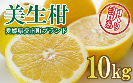 先行予約 プレミアム 河内晩柑 優品 5kg 10玉〜15玉 清家ばんかん