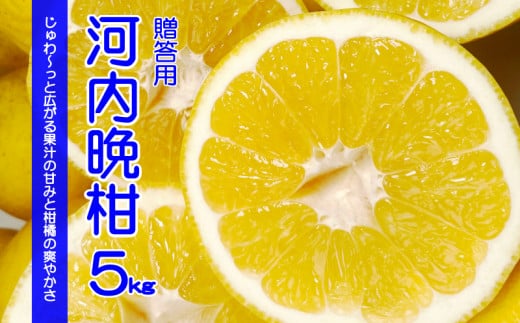 先行予約 プレミアム 河内晩柑 優品 5kg 10玉〜15玉 清家ばんかん