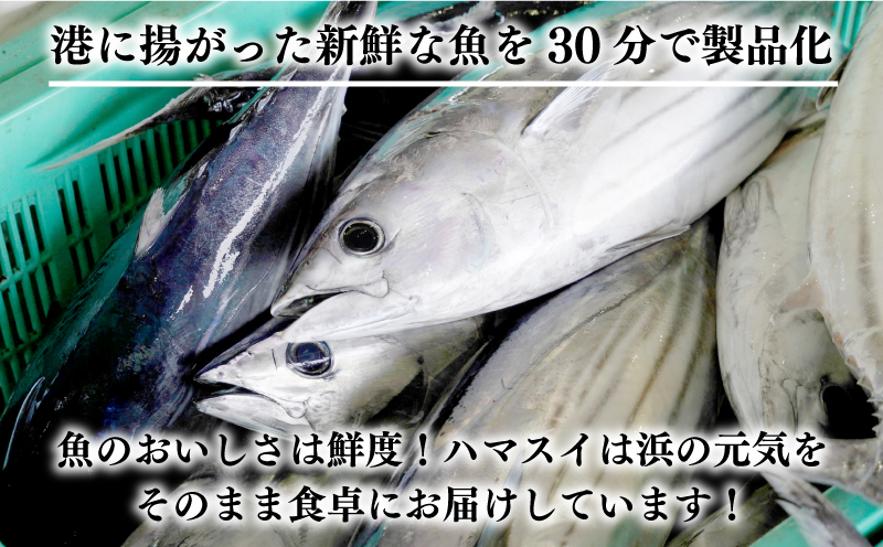 訳あり かつおのたたき 2.3kg 10000円 サイズ 不揃い 規格外 傷 小分け